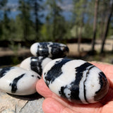 Zebra Jasper Palmstone