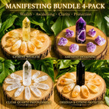 Manifestatiebundel 4-pack