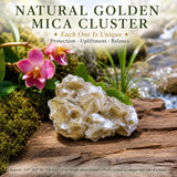 Grappe de mica doré naturel