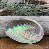 Abalone-Muschel