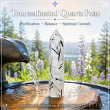 Tourmalinated Quartz Point