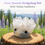 Crystal Quartz Hedgehog Pet (ADOPTERA MIG SNÄLLA) 🥰