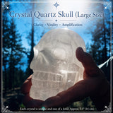 Crâne de quartz en cristal (grande taille)