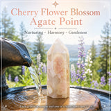 Fleur de cerisier Blossom Agate Point