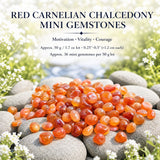 Μίνι πολύτιμοι λίθοι Red Carnelian Chalcedony (50 γραμμάρια / 1,7 oz. Παρτίδα)