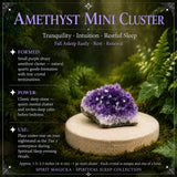 Spiritual Sleep - Fall Asleep Easily - Crystal Bundle, Audio Meditations & Guidebook
