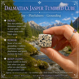 Cubo Caído Dálmata Jasper