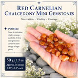 Μίνι πολύτιμοι λίθοι Red Carnelian Chalcedony (50 γραμμάρια / 1,7 oz. Παρτίδα)