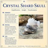 Crystal Shard Skull