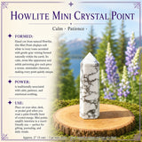 Ametist Sacred Geometri Faceted Crystal