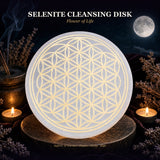 Δίσκος καθαρισμού Selenite Flower Of Life