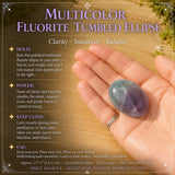 Flerfarvet Fluorit tumlet Ellipse