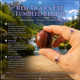 Red Tigers Eye Tumbled Ellipse
