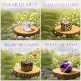 One Crystal Collectors Kit to Rule Them All (Over 1000 Crystals!)