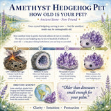 50% OFF SALE -Crystal Amethyst Hedgehog Pet-Limited Time Offer
