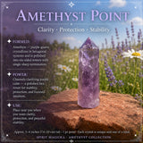 Amethyst Collectors Set  - Wholesale Bundle