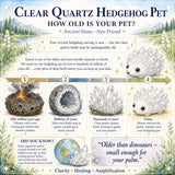 Crystal Quartz Hedgehog Pet (ADOPTERA MIG SNÄLLA) 🥰