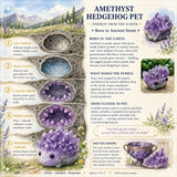 50% OFF SALE -Crystal Amethyst Hedgehog Pet-Limited Time Offer