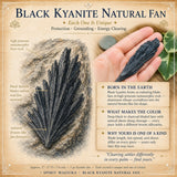 Ventaglio naturale in cianite nera
