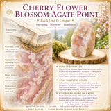 Fleur de cerisier Blossom Agate Point