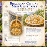 Mini dragi kamni iz brazilskega citrina (50 gramov / 1,7 oz. lot)