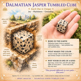 Cubo Caído Dálmata Jasper