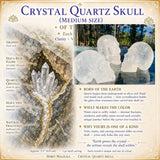 Crânio de cristal de quartzo (tamanho médio)