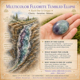 Flerfarvet Fluorit tumlet Ellipse