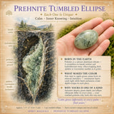 Ellisse burattata di prehnite