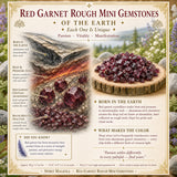 Red Garnet Rough Mini Gemstones (50 γραμμάρια / 1,7 ουγκιές παρτίδα)