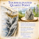 Tourmalinated Quartz Point