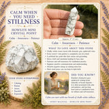 Ametist Sacred Geometri Faceted Crystal