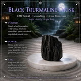 Total Dark Energy Protection Bundle