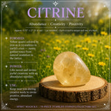19-Piece Tumbled Stones Collectors Kit