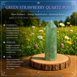 25-Piece Crystal Super Bundle Set