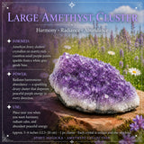 Amethyst Collectors Set  - Wholesale Bundle