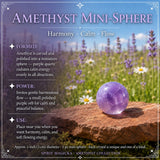Amethyst Collectors Set  - Wholesale Bundle