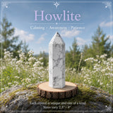 64-delige kristallen caleidoscoopset