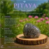19-Piece Tumbled Stones Collectors Kit
