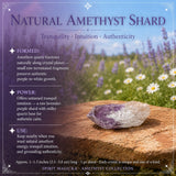 Amethyst Collectors Set  - Wholesale Bundle