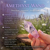 Amethyst Collectors Set  - Wholesale Bundle