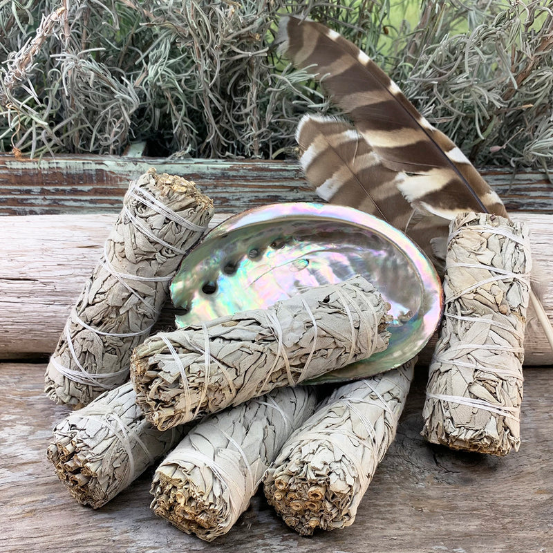 Smudge Kit: White Sage (4-Inch) + Abalone Shell