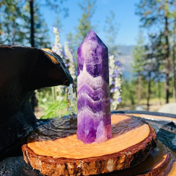 Never Too Much Amethyst Water Bottle & Crystal Bundle