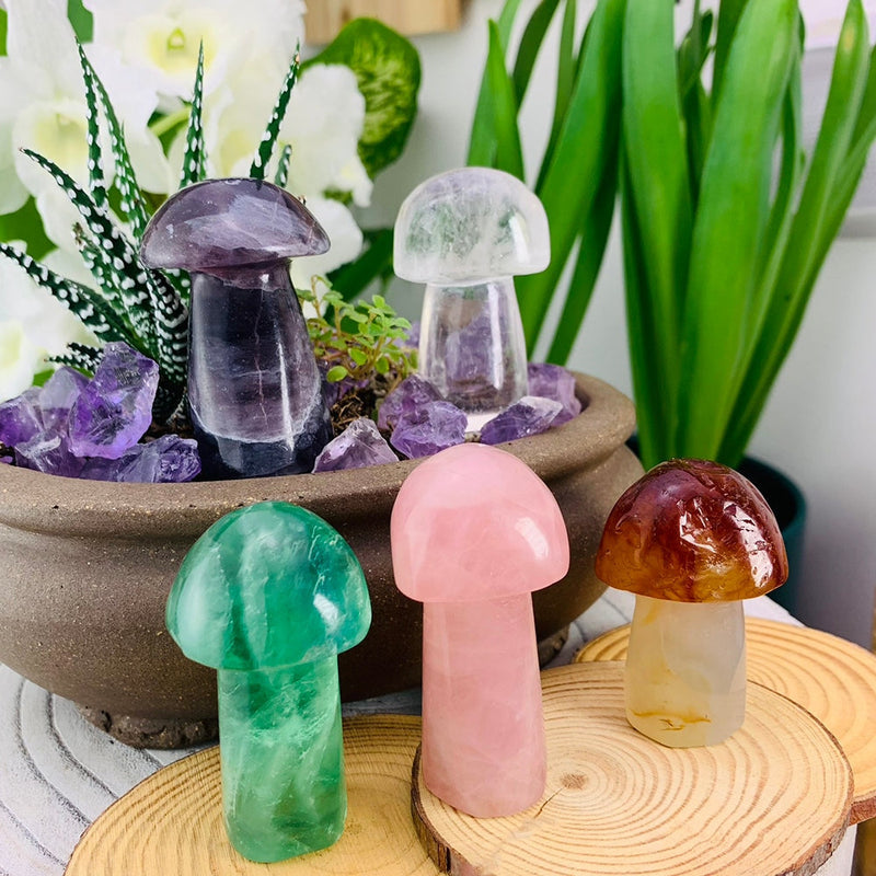 5-Piece Gemstone Mushrooms Kit - collection