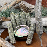 Smudge Kit: White Sage (6-Inch) + Abalone Shell