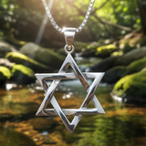 Silver Star of David Necklace