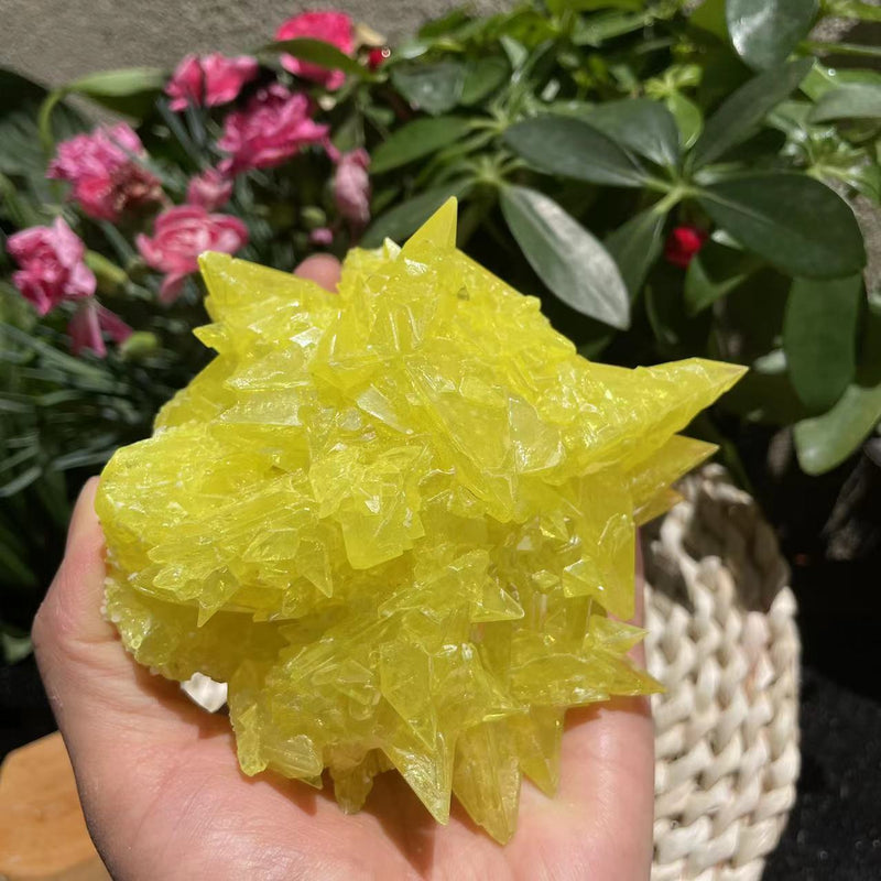 Sulphur Crystal (410 grams)  (Item #1035)