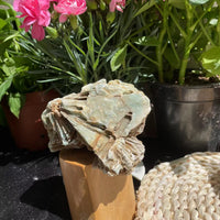 Raw Amazonite Specimen (Item #1026)