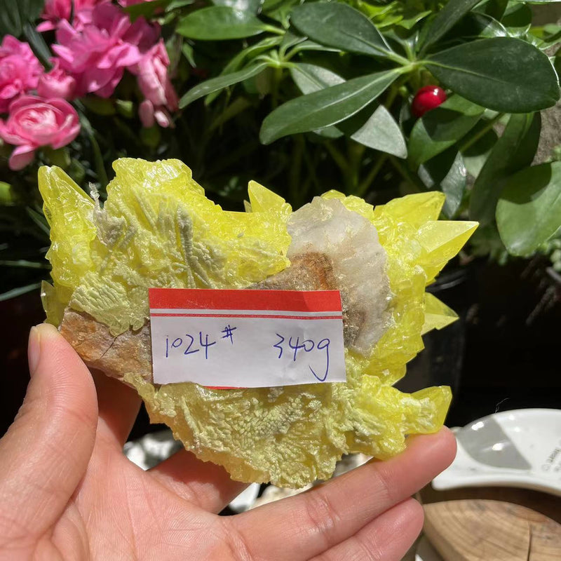 Sulfur Crystal (340 grams)  (Item #1024)