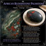 Afrikanischer Blutstein-Palmstein